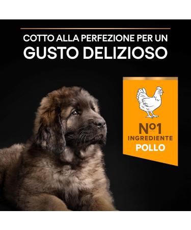 Pro Plan Large Robust Puppy Chkn 4x3kgXE - Buy Online on GoSupps.com