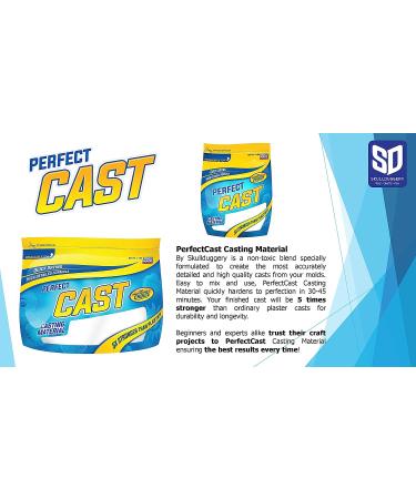 2LB Perfect Cast & Paint Harder Than Plaster Casting Material - 1 Unit - Buy Online on GoSupps.com