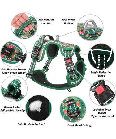 Buy Heele Floral Green Dog Harness - Adjustable & Reflective XL Running Harness with Lockable Snap for Ultimate Comfort & Safety - Buy Online on GoSupps.com