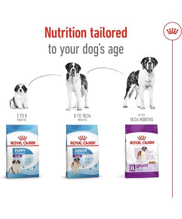 Royal Canin Dog Food Giant Adult 4kg - Buy Online on GoSupps.com
