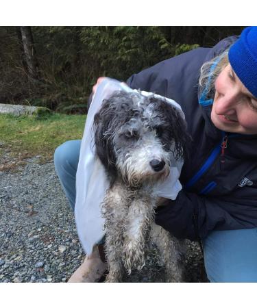 The Anywhere Shower Outdoor Wipes Box of 12 Wipes Eucalyptus Size Big (1 x 2 feet) - Buy Online on GoSupps.com