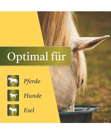 Martenbrown Rice Germ Oil 1L for Horses Dogs & Donkeys | Dietary Supplement for Dry & Canned Food | Practical Dosing Bottle - Buy Online on GoSupps.com
