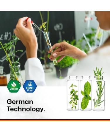 BIO KRAUTER Ginkgo Biloba Gummies - 90 Vegan Chews - Ginkgo Biloba Supplements for Brain Support - 120 mg Standardized Extract - Pectin-Based Formula - Buy Online on GoSupps.com