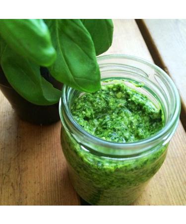 Pesto Gourmet Set of 3 | Authentic Italian Recipe | Premium Olive Oil & Pine Nuts for International Shipping - Buy Online on GoSupps.com