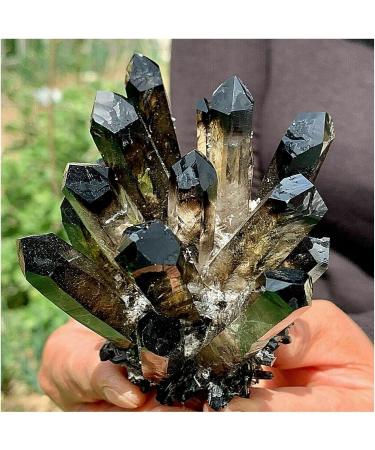 Natural Crystal Rough Crystals 1pc Black Phantom Quartz Crystal Cluster (Size : 200-250g) - Buy Online on GoSupps.com