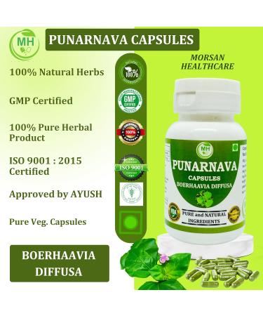 Morsan Healthcare Punarnava Capsules (Boerhaavia Diffusa) 500mg 60 Veg Capsules | Herbal Wellness Supplement for Natural Kidney & Liver Support | Plant-Based Detox & Cleansing Formula | Pack of 4 - Buy Online on GoSupps.com