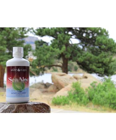 SeaAloe Liquid Whole Food - 32 Ounces | Powerhouse of Nutrients - Buy Online on GoSupps.com