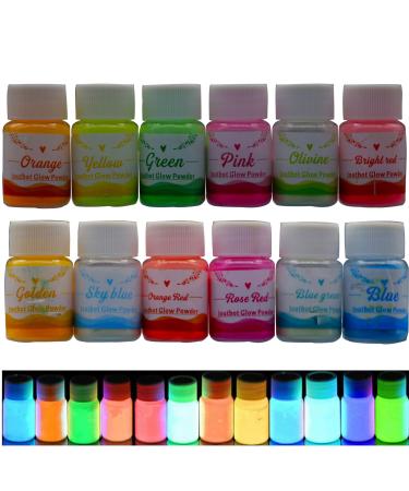 Glow in the dark pigment powder 12 Colors Resin Dye Luminous Powder for Epoxy Resin Acrylic Paint Slime Nails Halloween Party  Fine Art & DIY Crafts Non-Toxic Skin Safe  Long Lasting(0.7oz/Bottle)