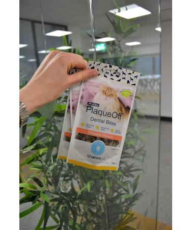 ProDen PlaqueOff Dental Bites Cat Salmon Flavor 60 g For Cats Bad Breath Plaque Tartar Pet Oral Care 60 g (Pack of 1) - Buy Online on GoSupps.com