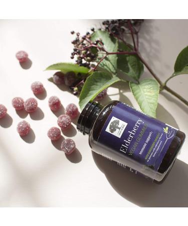 New Nordic Elderberry Vegan Gummies - 60 Count with Elderberry Extract for Immune Support - Buy Online on GoSupps.com