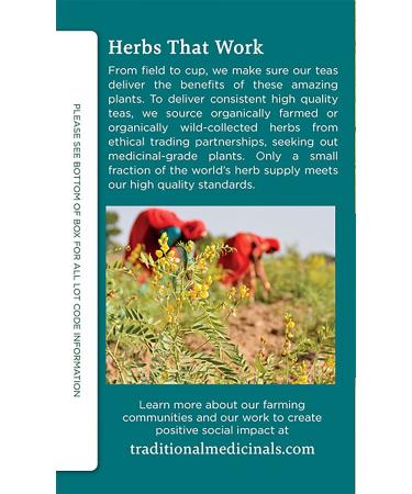 Traditional Medicinals Organic Dandelion Chai Probiotic Tea - 16 Count Pack - Buy Online on GoSupps.com