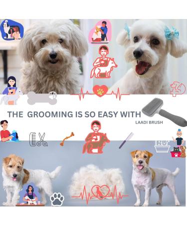 Self Cleaning Slicker Brush for Dogs Cats Rabbits Puppies - Laadi Pet Grooming Brush for Long & Short Haired Cats and Dogs - Buy Online on GoSupps.com