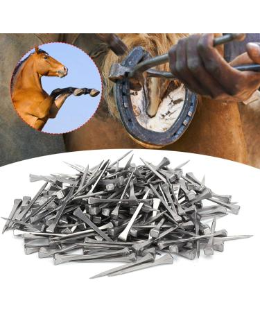 Steel Horseshoe Nails 250Pcs Horseshoe Nails Nail Palm for Horse Horseshoe Nail Horseshoe Nail Horse Horseshoe Nail for Horse Race Horse - Buy Online on GoSupps.com