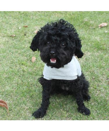 YUKOOL Anxiety Coat for Dogs - Lightweight Calming Jacket Vest (XS Gray) | Reduce Anxiety & Stress - Buy Online on GoSupps.com