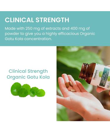 Himalaya Organic Gotu Kola 45 Day Supply - Herbal Nootropic Supplement with Adaptogens for Energy Focus Memory and Calming Relaxation - Vegan Non-GMO Gluten Free 650 mg 90 Caplets - Buy Online on GoSupps.com