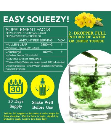 Mullein Leaf Extract for Lungs Mullein Drops for Lungs Mullein Chlorophyll Drops for Lungs Mullein Herbal Supplements with Chlorophyll (2Pack) 1 Fl Oz (Pack of 2) - Buy Online on GoSupps.com