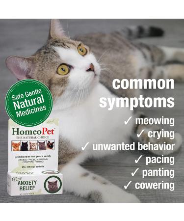 HomeoPet Feline Anxiety Relief - Stress & Anxiety Support for Cats - 15ml - Buy Online on GoSupps.com