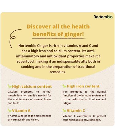 Nortembio 100g Biological Ginger Powder | 100% Natural Vegan Gluten-Free - Perfect for Infusions! - Buy Online on GoSupps.com