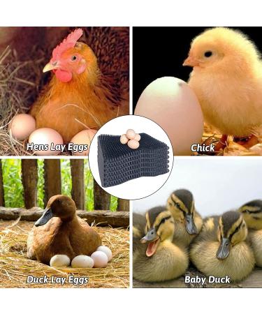 Hamiledyi Chicken Nesting Pads  Hen Nest Mats Washable  Chicken Nesting Box Plastic Liners  Reusable Egg Laying Mats for Chicken Coop Poultry Nest Boxes Ducks Nesting Pads 6PCS - Buy Online on GoSupps.com