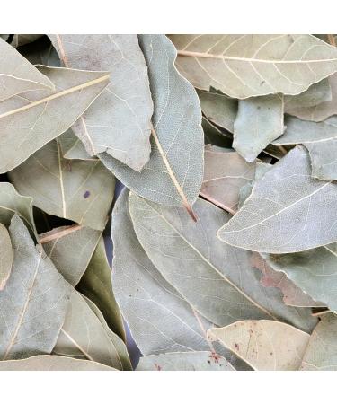  Tazarin LTD TazarinLtd 100 g Bay Leaves Crushed - Bay Powder - Intense Aroma and Taste - 100% Natural Pure and No Additives - Buy Online on GoSupps.com