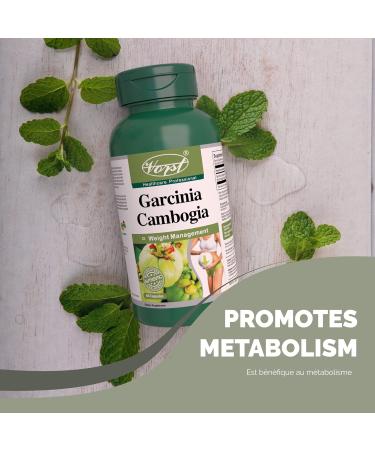 VORST Premium Garcinia Cambogia 5:1 Extract 1000mg Per Serving (5000mg raw fruit) 60 Capsules | Natural Weight Management & Gentle Appetite Suppressant Supplement for Smaller Appetites Metabolism Efficiency and Digestive Health | Extra Strength Powder Pil - Buy Online on GoSupps.com