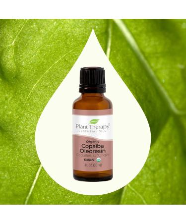 Buy Plant Therapy Copaiba Oleoresin Organic Essential Oil - 100% Pure Undiluted Therapeutic Grade - 30 mL | International Shipping Available - Buy Online on GoSupps.com
