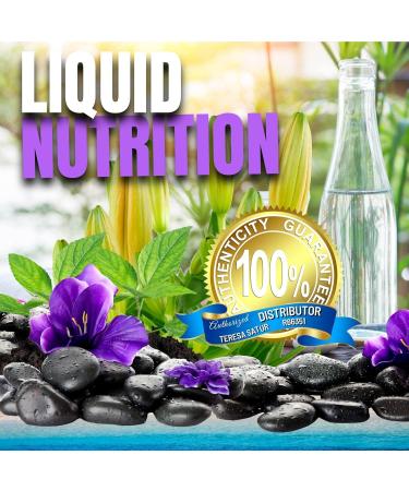 Omni IV with Glucosamine and Co-Q10 32 oz - Buy Online on GoSupps.com