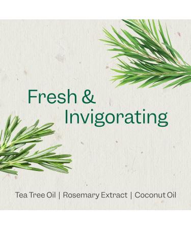 Renpure Tea Tree & Rosemary Shampoo - Plant-Based Soothes Dry Scalp Moisture & Shine - 24 fl oz - Dye Free & Eco-Friendly - Buy Online on GoSupps.com