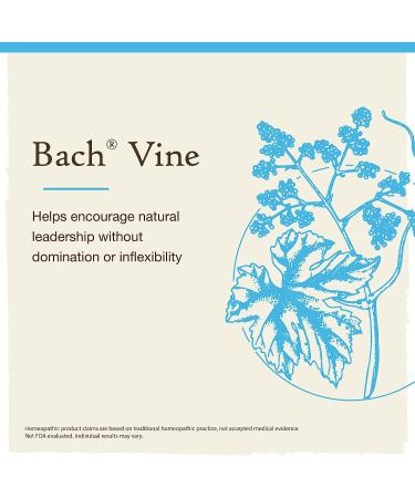 Bach Original Flower Remedies Vine 20mL Dropper - Motivation & Stress Relief - Vegan - Buy Online on GoSupps.com