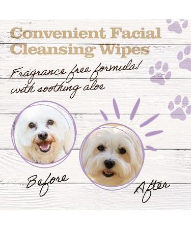 Dr. Pol Tear Stain Remover Wipes for Dogs & Cats - 70 ct. White - Pet Eye Stain Remover - Buy Online on GoSupps.com