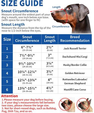 Barkless Dog Muzzle - Soft Silicone for Chewing & Barking | Enables Drinking & Panting | Size 6 (Snout 13 -15 ) - Black - Buy Online on GoSupps.com