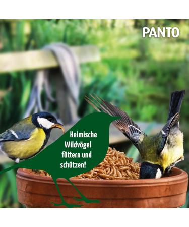Premium Panto Mealworms 900g - High Protein Wild Bird Feed Ideal for Birds Rodents Hedgehogs & Poultry - Buy Online on GoSupps.com