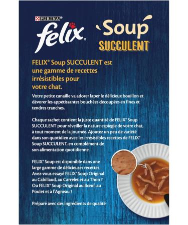 FELIX Soup Succulent | Adult Cat | Fish Selection | Pack of 8 | 6 x 48 g | Sachet Soup - Buy Online on GoSupps.com