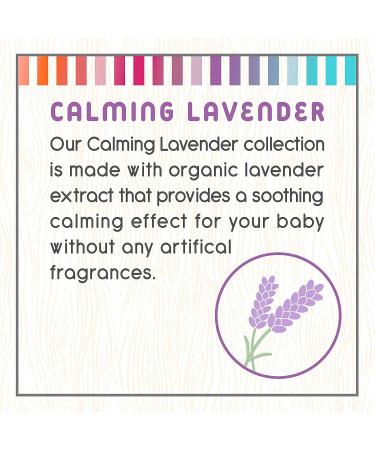Little Twig Lavender Baby Oil - 4oz | All Natural, Sensitive Skin Formula - Buy Online on GoSupps.com