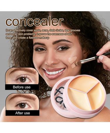  JPSDOWS Cream Concealer Palette | 3-in-1 Contouring and Brighten Concealer Palette Cream Concealer Contour Foundation Concealer Waterproof Color Concealer for Concealer Makeup at JPSDOWS - Buy Online on GoSupps.com