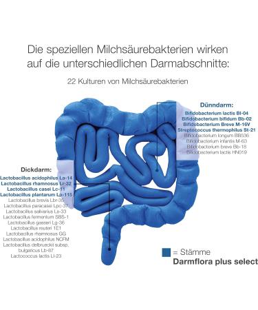 Darmflora Plus Select Intensive | Dr. Wolz | High-Dose Bacterial Cultures + Vitamins B6 & B12 | Healthy Mucous Membranes | 80 Capsules - Buy Online on GoSupps.com