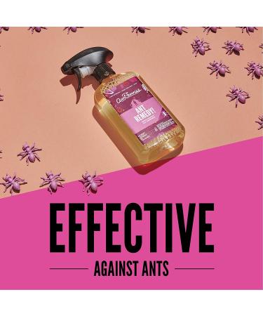 Aunt Fannie's Ant Remedy Spray - 16.9 fl oz Direct Formula for Effective Ant Control - Buy Online on GoSupps.com