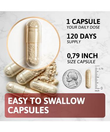 Shilajit Ashwagandha Capsules & Sea Moss Capsules Black Seed Oil Capsules Ashwagandha Turmeric - Shilajit for Woman Men Immune Support Rhodiola Rosea Shilajit 60 Capsules & Sea Moss 60 Capsules Set - Buy Online on GoSupps.com