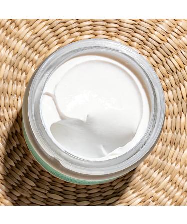 WildMint Viva Vibe Natural SPF 30 | Zinc Oxide Mineral Sunscreen Broad Spectrum UVA & UVB Protection | For Sensitive Skin Sun Protection | For Kids 3+ | UK Made Vegan & Cruelty-Free Skincare | 50ml - Buy Online on GoSupps.com