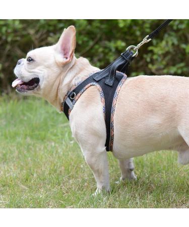 Doramio Dog Harness for Small Dogs & Cats | Reflective Breathable Anti-Pull Leash | Step-In Design | Perfect for Travel | Black Yellow (L) - Buy Online on GoSupps.com