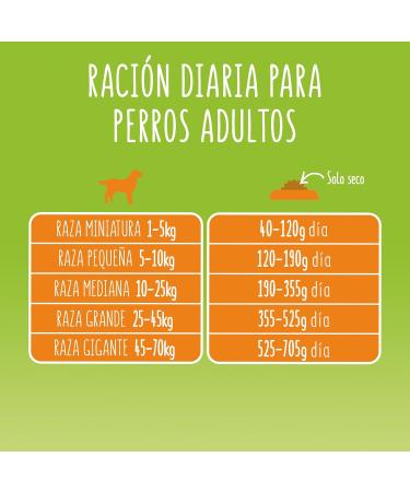 Purina Friskies - Adult Dog Food (poultry and vegetables added) - Buy Online on GoSupps.com