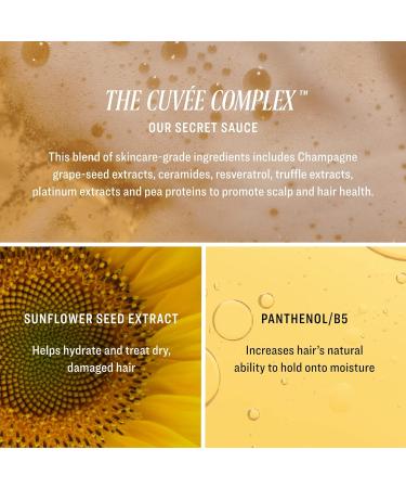 CUV E BEAUTY Cuvee Protective Treatment - 5 fl oz - Hair Spray to Protect Against Heat UV Rays & Environmental Stressors - Champagne-Infused Formula with Resveratrol & Ceramides - Color Safe 1.7 Fl Oz (Pack of 1) - Buy Online on GoSupps.com