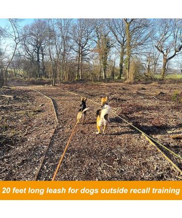 Vivifying Long Dog Leash 20ft Reflective Dog Training Leash for Outside and Yard Floating Long Line Lead with Soft Handle for Camping Hiking Swimming Beach and Lake(6M Orange) - Buy Online on GoSupps.com