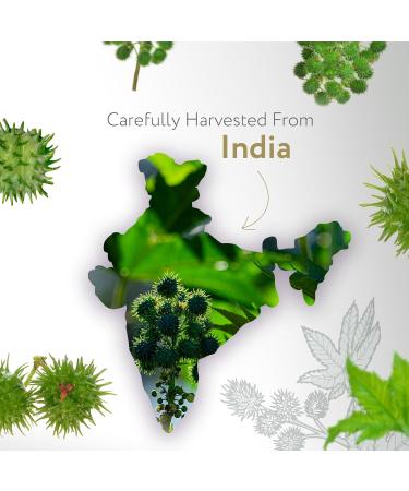 HBNO Organic Castor Oil - 8.8 lbs (4kg) - Ideal for Shampoos Conditioners Mouth Washes Face wash Lotions and Skin care products - Buy Online on GoSupps.com