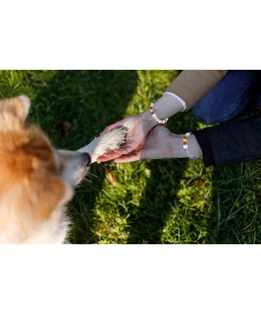 Dabem Rainbow Bridge Pet Memorial Bracelet - Sympathy Gift for Women/Men - Blue - Buy Online on GoSupps.com