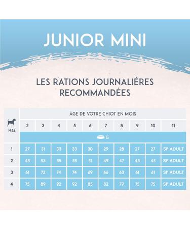 NUTRIVET - Super Premium - Junior Mini - Wheat-free kibble - Puppy - Rich in Animal Protein - 5 kg - Buy Online on GoSupps.com