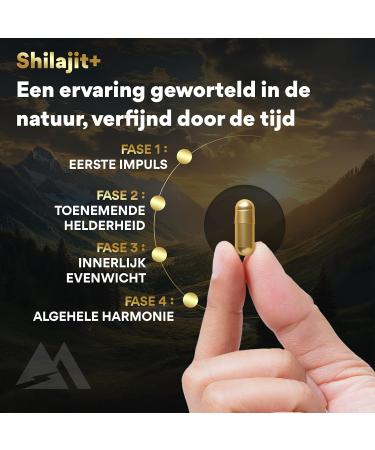 MOVEZEN Shilajit+ 100 pure Himalayan resin 30 g laboratory tested Mumijo Premium rich in 75 fulvic acid and more than 85 natural minerals Capsule - Buy Online on GoSupps.com