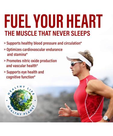 Oingo Cardio Care + Heart Health Formula Nitric Oxide Booster with Beet Root Powder Grape Seed Extract Taurine B Vitamins for Blood Flow & Blood Pressure Support Gluten Free 120 Veggie Capsules - Buy Online on GoSupps.com