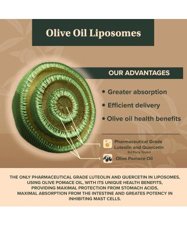 NeuroProtek Low Phenol - 60 Soft Gels | Patented Luteolin & Flavonoids Blend | International Shipping Available - Buy Online on GoSupps.com