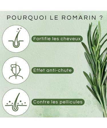 Rosemary Oil For Hair Rosemary Oil Rosemary Hair Lotion 100 ml for Hair Growth Pre-Shampoo and Styling Treatment for Hair Growth Scalp Serum - FITOATTIVI - Buy Online on GoSupps.com